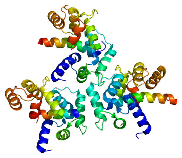 CACNA1C bipolar disorder GWAS figure