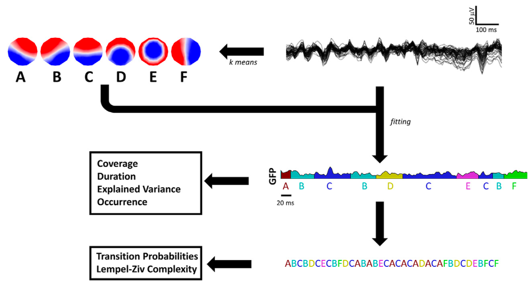 EEG microstates figure