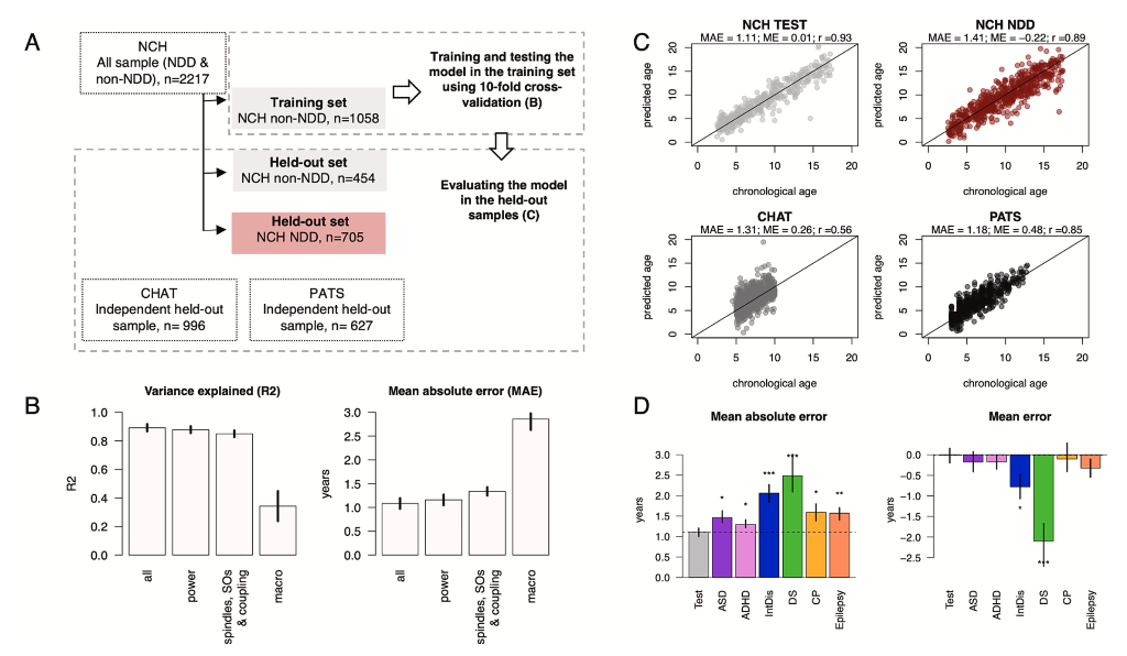 Sleep development figure