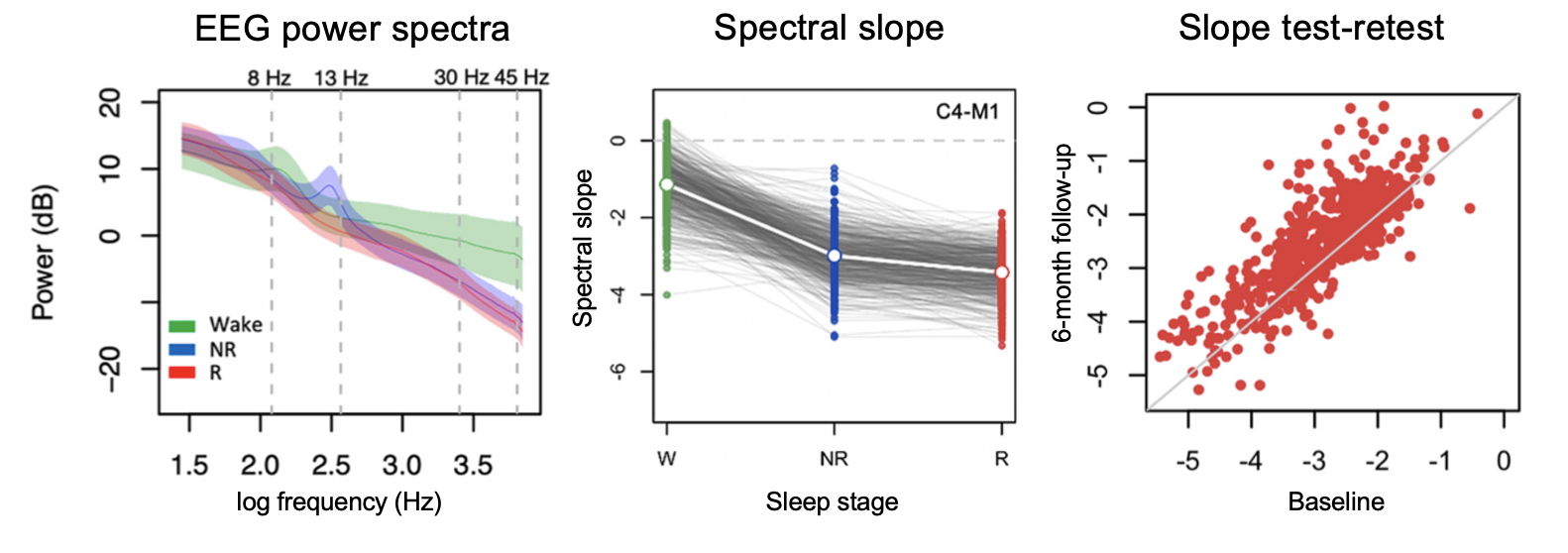 Sleep EEG spectral slope figure