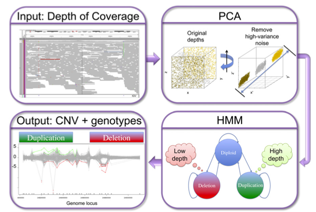 XHMM CNV pipeline figure